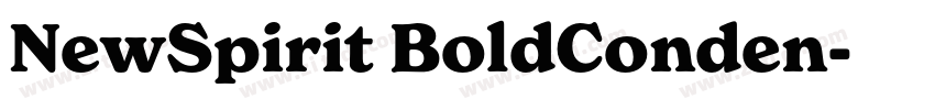 NewSpirit BoldConden字体转换